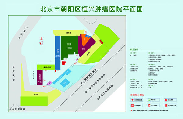 鸡勃AV屄北京市朝阳区桓兴肿瘤医院平面图